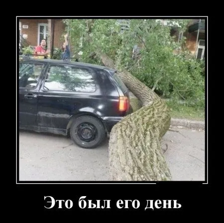 Для нас прикольные демотиваторы
