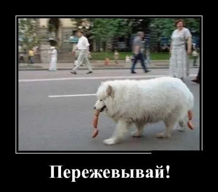 Для нас прикольные демотиваторы