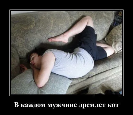 Для нас прикольные демотиваторы