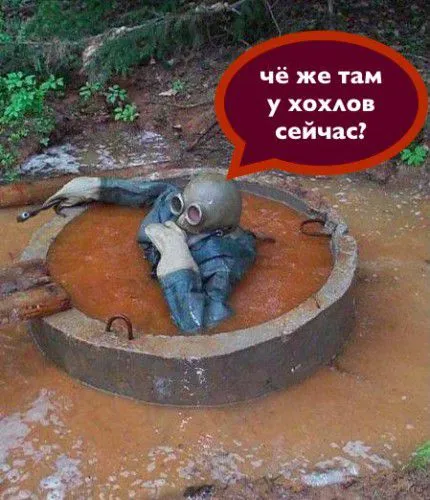 Соцсети высмеивают россиян и песня бременских музыкантов о распятых мальчиках