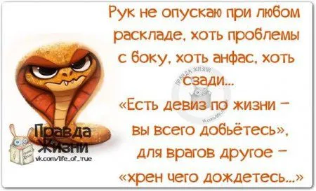 Фразы с картинками Фразы с картинками