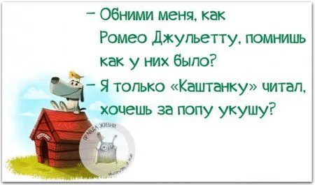 Фразы с картинками Фразы с картинками
