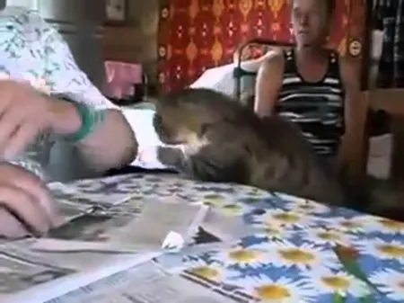 Ну погладь меня