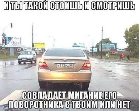 Смешные картинки с надписями (25 фото)