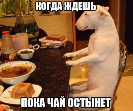 Для расслабончика, только прикольные картинки