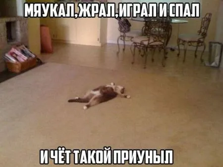 Для расслабончика, только прикольные картинки