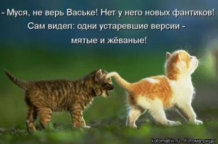 Забавные зверушки от Котоматрицы