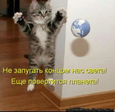 Забавные зверушки от Котоматрицы
