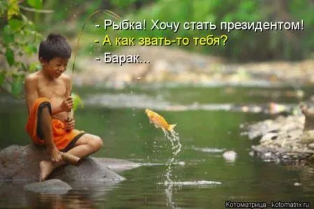 Забавные зверушки от Котоматрицы