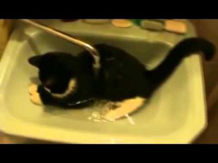 Забавный кот лежит в раковине, под водой и ему нравится