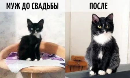 Как меняется жизнь после свадьбы
