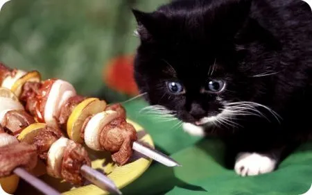 10 неожиданных маринадов для самого вкусного шашлыка