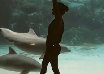 Девушка развлекает дельфина