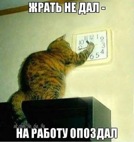 Приколы как всегда вовремя