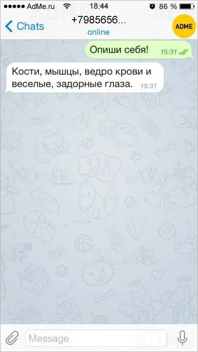 Мастера флирта пишут прикольные смс