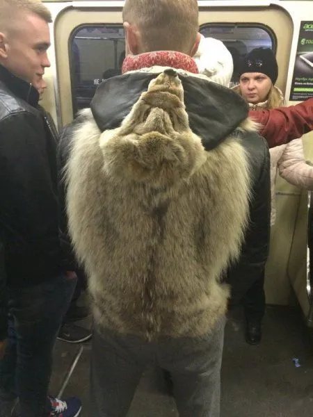 Фото приколы, всегда вовремя