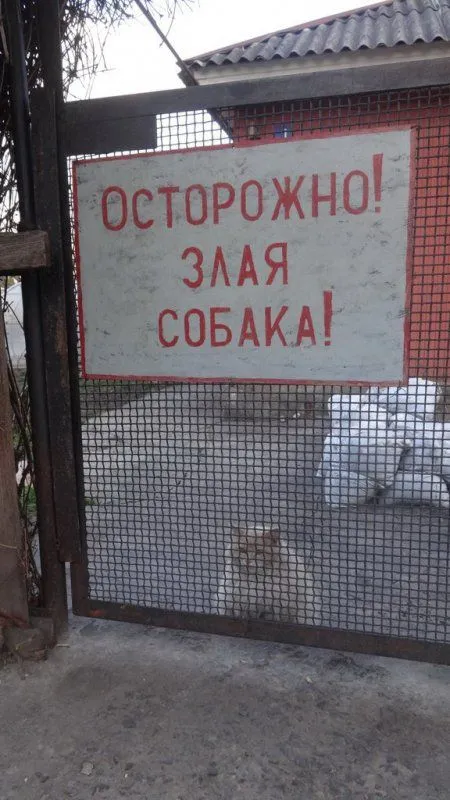 Фото приколы, всегда вовремя