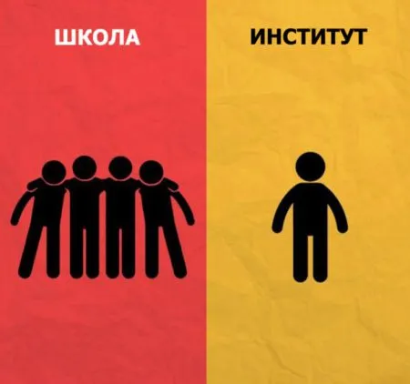 8 отличий школы от института