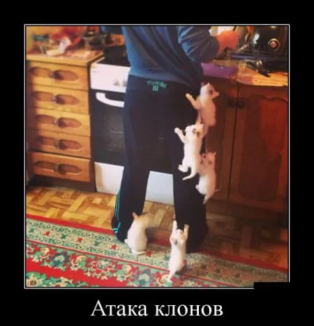 Подборка прикольных демотиваторов на воскресенье