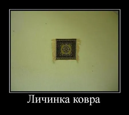 Подборка прикольных демотиваторов на воскресенье