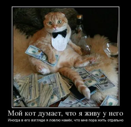 Подборка прикольных демотиваторов на воскресенье