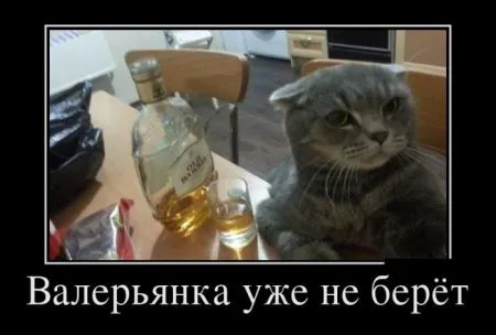 Подборка прикольных демотиваторов на воскресенье