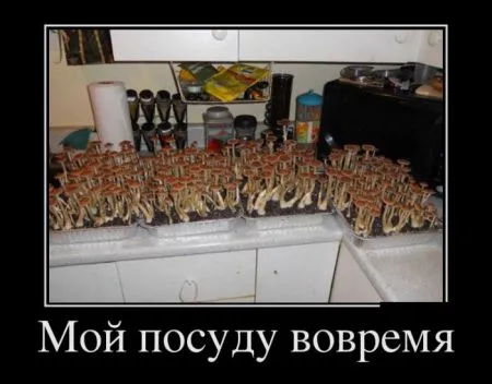 Подборка прикольных демотиваторов на воскресенье