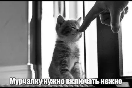 Пост просто юморам позитива