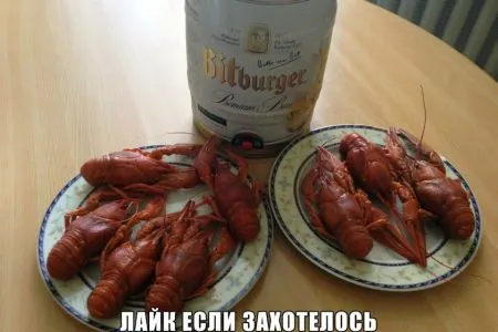 Пост просто юморам позитива