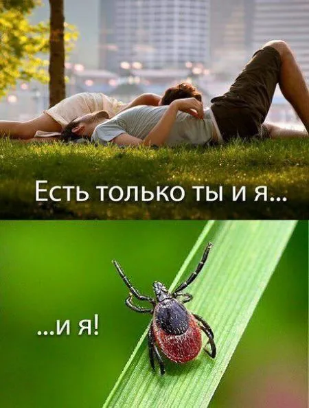 Пост просто юморам позитива