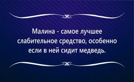 17 жизненных "аткрыток" для поднятия настроения