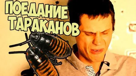Поедание тараканов