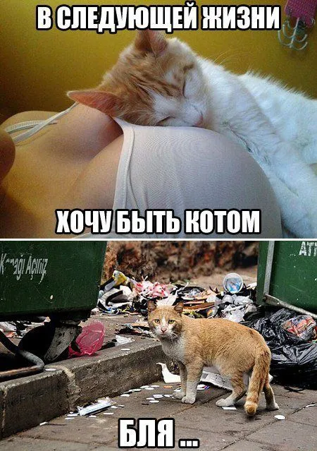Не спеши идти спать смотри фото приколов пост