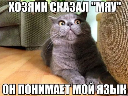 Не спеши идти спать смотри фото приколов пост