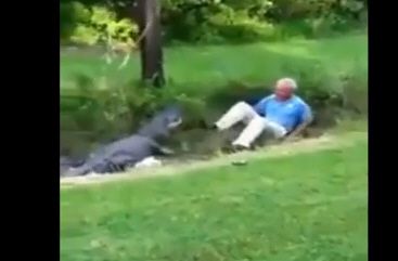 Человек против крокодила
