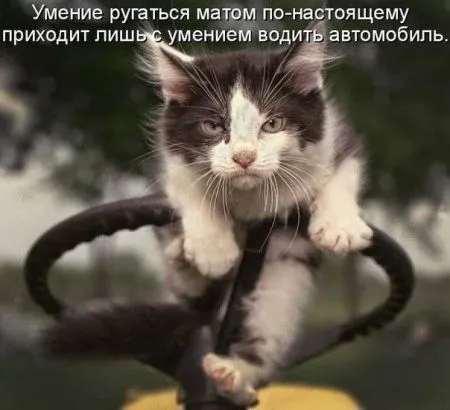Пост юмора