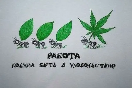 Пост юмора