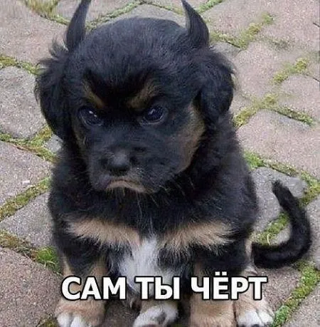 Пост юмора