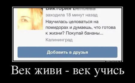 Демотиваторы и будет все без проблем Демотиваторы и будет все без проблем