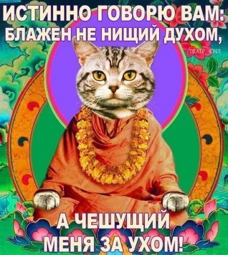 Займи себя позитивом, Фото приколы Займи себя позитивом, Фото приколы