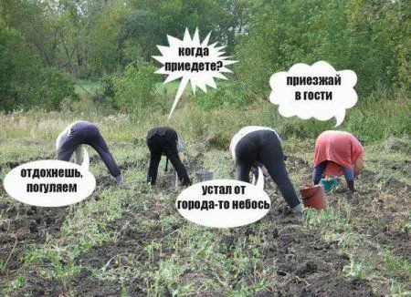 Займи себя позитивом, Фото приколы Займи себя позитивом, Фото приколы