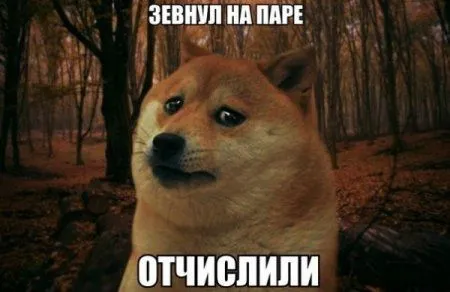 Приколы. Не ну че, бывает