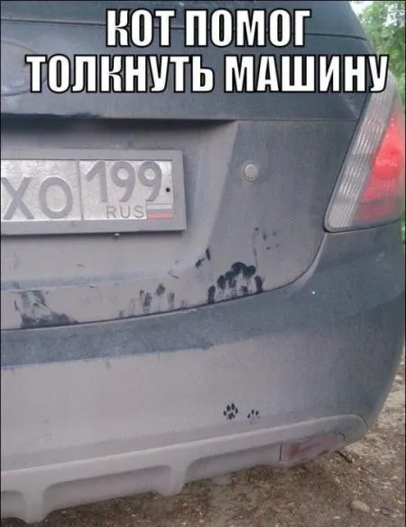 По дороге с юмором. Авто приколы По дороге с юмором. Авто приколы