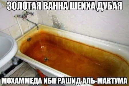 Всегда прикольные фото приколы