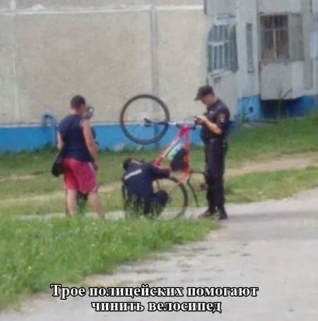 Всегда прикольные фото приколы