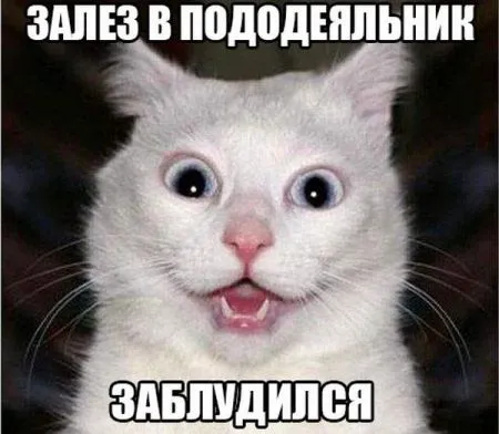 Всегда прикольные фото приколы
