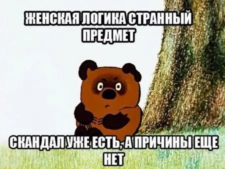 О женской логике в Анекдотах
