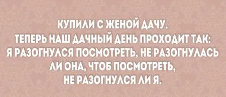 20 открыток о радостях и трудностях семейной жизни