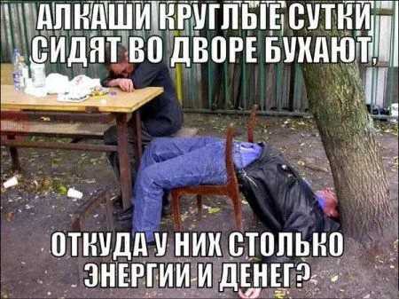 Фото приколы, а с ними весело