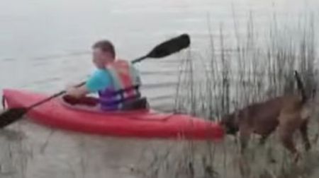 Собака не отпускает хозяина в плавание на каяке